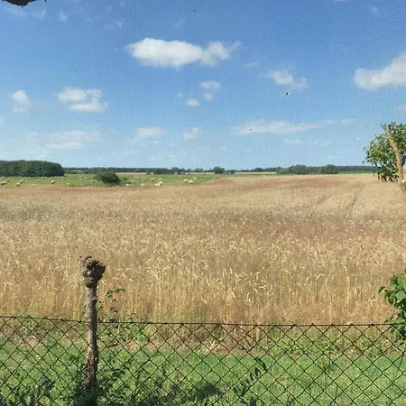 Daire Zum Schwarzen Stiefel - Bauernhaeuschen Rankwitz