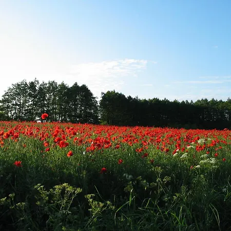 Daire Zum Schwarzen Stiefel - Bauernhaeuschen *