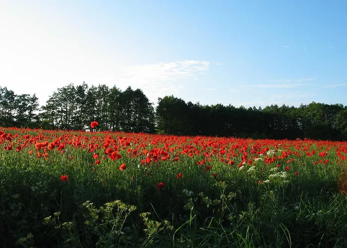 דירה Zum Schwarzen Stiefel - Bauernhaeuschen *